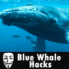 Blue Whale Hacks আইকন