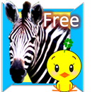 Animal What's this？Educational APK