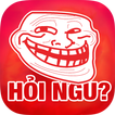 Hoi Ngu