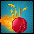Cricket Knockdown Fever APK