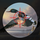 Duck Hunting – Bird Shooter APK