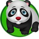 Snow Panda aplikacja