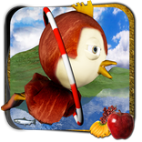 Thunder Bird 3D Stunts