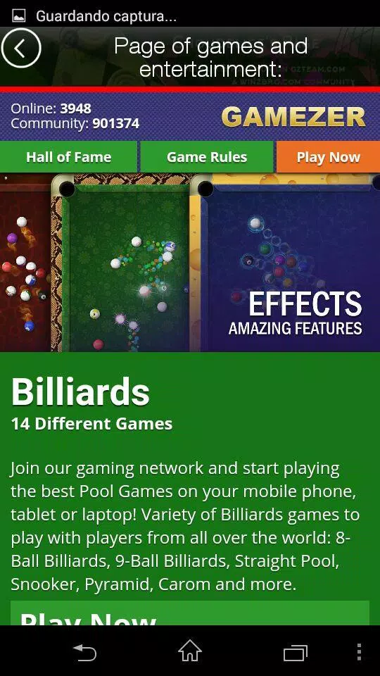 Access gamezer.com. Gamezer - Online Pool and Billiards Games
