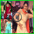 Hot Haryanvi Adult Video Songs New APK