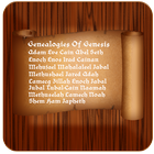 Genealogies of Genesis иконка