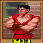 Guide for Final Fight icône