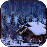 خواطر الشتاء