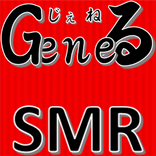 GeneRU SMR play screen