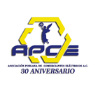APCE Puebla-APK
