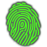 Fake Fingerprint
