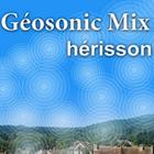 Geosonic Hérisson icône