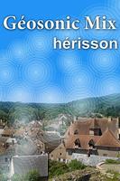 Geosonic Hérisson Affiche