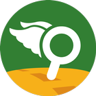 Geovysor icono