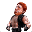 Chuck Norris Witze APK