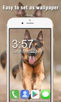 German Shepherd Live Wallpapers HD screenshot 1