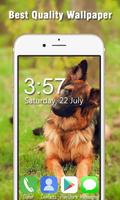 German Shepherd Live Wallpapers HD screenshot 3