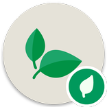 Health Seasonal Foods