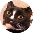 Making slaves (Unreleased) APK