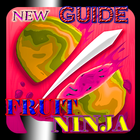 Guide Fruit Ninja icône