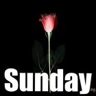 آیکون‌ Sunday