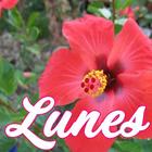 آیکون‌ Lunes