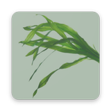 Bioreattore ad alghe أيقونة