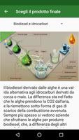 Bioreattore ad alghe تصوير الشاشة 3