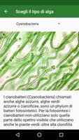 Bioreattore ad alghe تصوير الشاشة 2