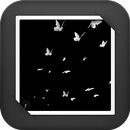 Butterfly GIF Live Wallpaper APK