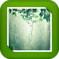 Rain GIF Live Wallpaper