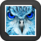 White Owl GIF Live Wallpaper иконка
