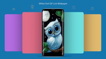 White Owl GIF Live Wallpaper постер