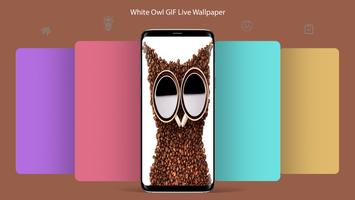 White Owl GIF Live Wallpaper скриншот 1