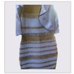 TheDress vote