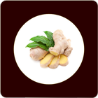 Ginger Benefits आइकन