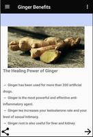 Ginger Benefits poster