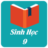 Giải bài tập Sinh Học lớp 9