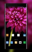 Amigo Launcher Theme for Gionee F103 Affiche