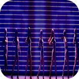 걸그룹 직캠:시즌1 여자아이돌 가수