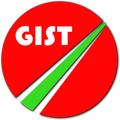 GIST Encuestas