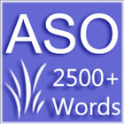 Antonym synonym and oneWord-icoon