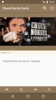 Chuck Norris Facts Affiche