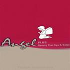 Angel Plus 图标