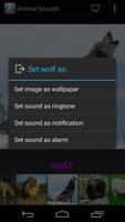 Animal Sounds syot layar 2