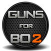 Guns for BO2 APK