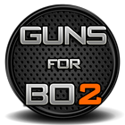 Guns for BO2 icône