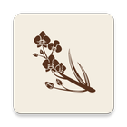 Chios Hotel icon