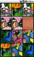 Memory (Butterflies) gönderen