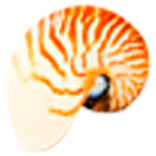 Kelyfos Hotel iKiosk